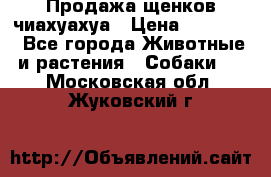 Продажа щенков чиахуахуа › Цена ­ 12 000 - Все города Животные и растения » Собаки   . Московская обл.,Жуковский г.